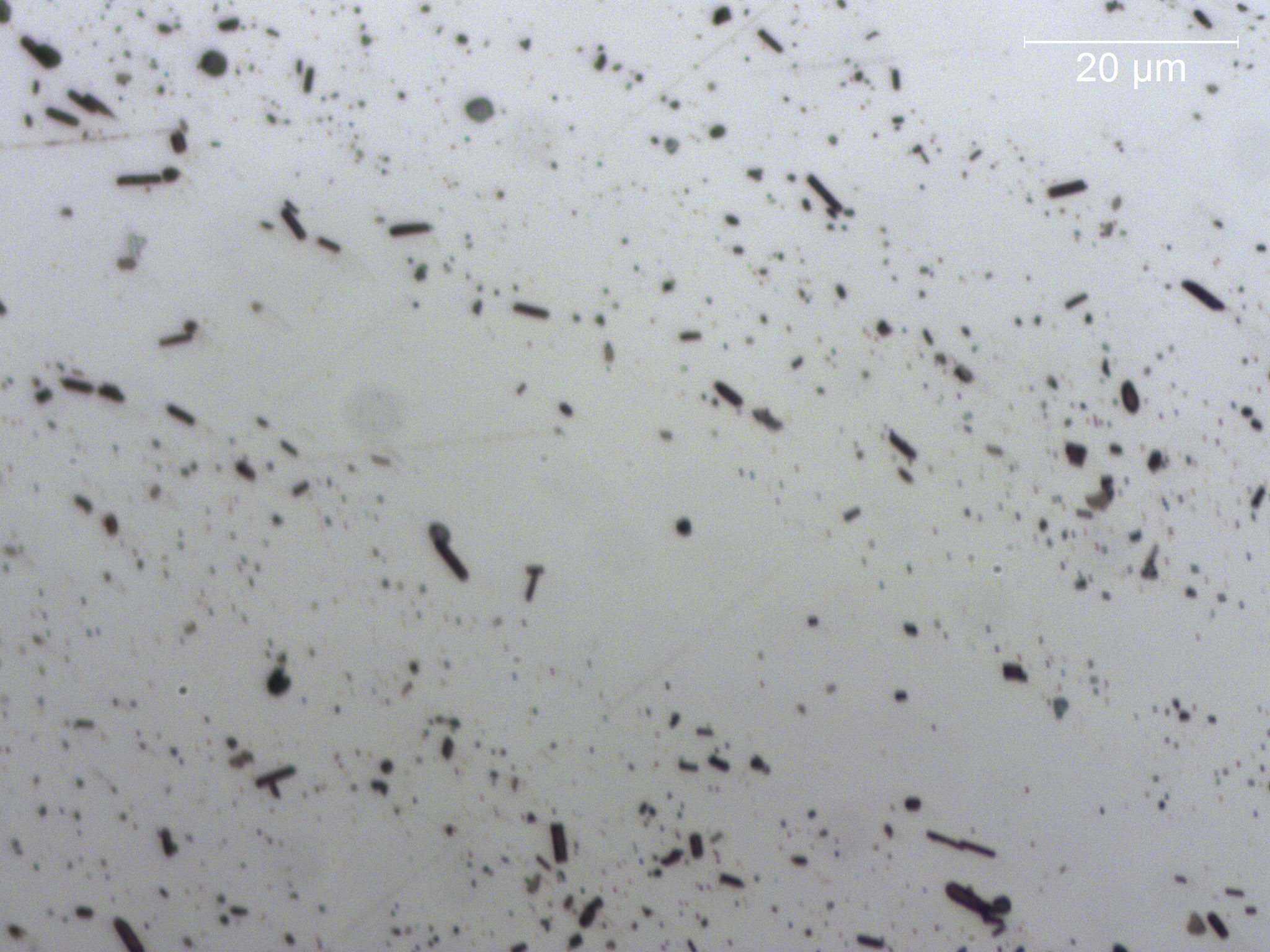 Analisi microstrutturale dopo trattamento termico T6