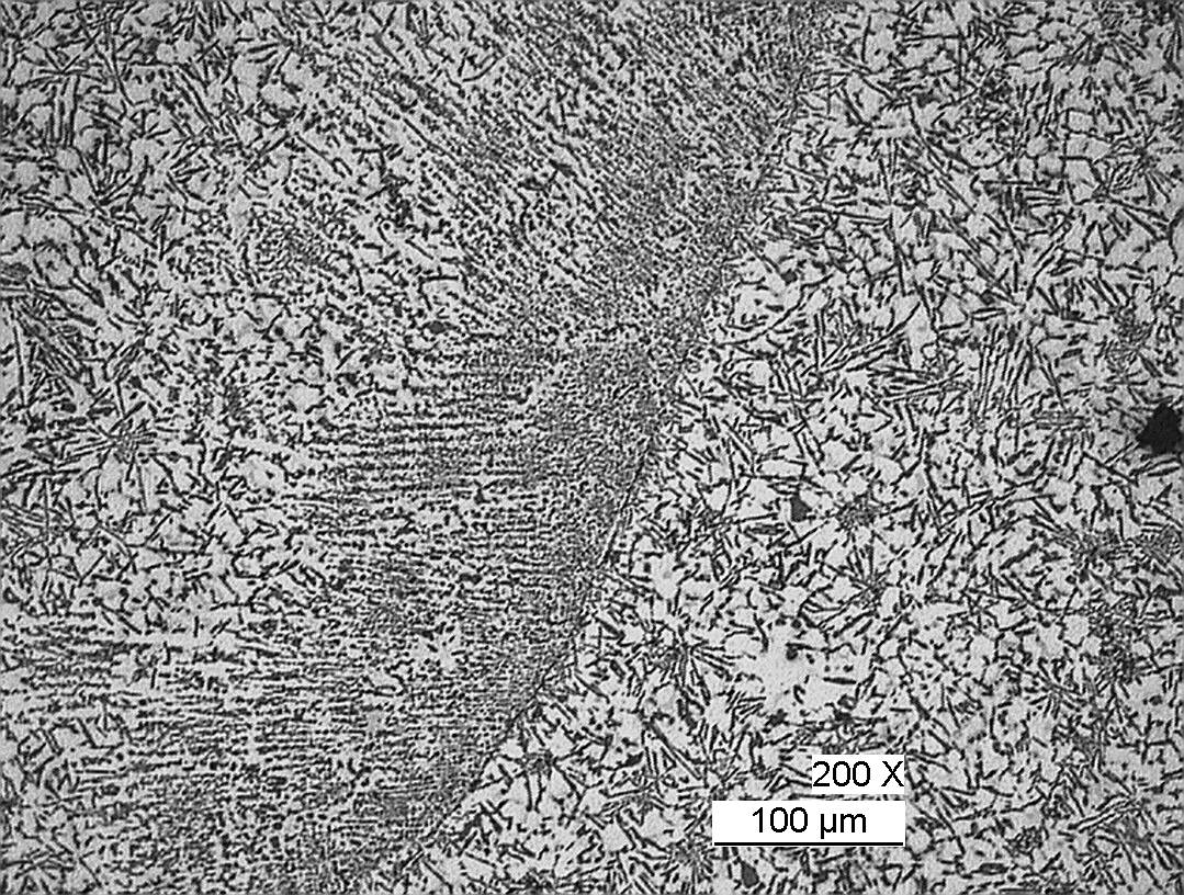 Microstruttura di lega di alluminio a 200 ingrandimenti